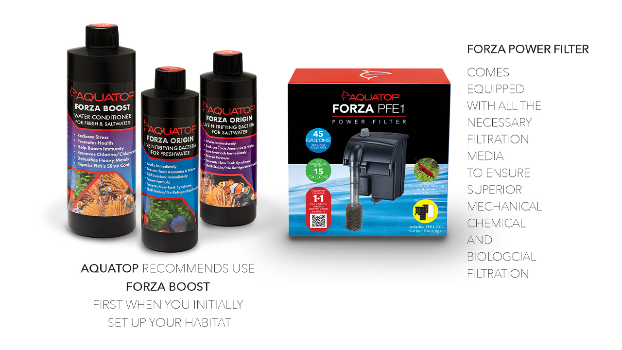 Amazon.com : Aquatop Forza 120 GPH Power Filter for